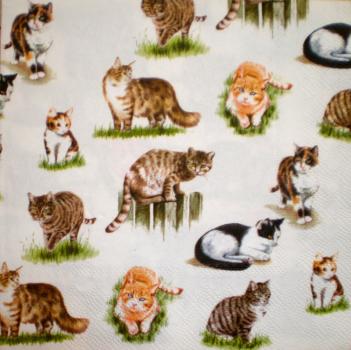 099 Cats - 3-ply - Ambiente
